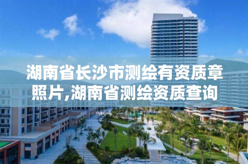 湖南省長沙市測繪有資質章照片,湖南省測繪資質查詢