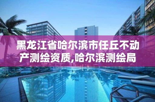 黑龍江省哈爾濱市任丘不動(dòng)產(chǎn)測繪資質(zhì),哈爾濱測繪局電話