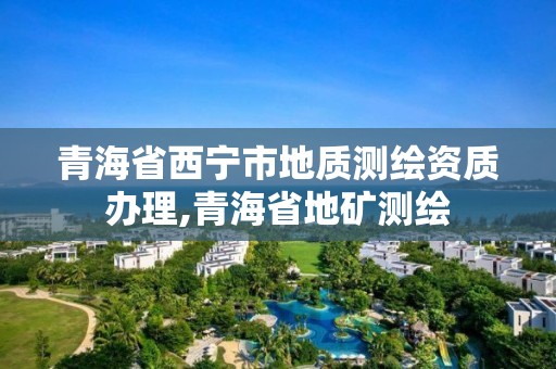 青海省西寧市地質(zhì)測繪資質(zhì)辦理,青海省地礦測繪