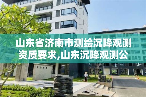 山東省濟(jì)南市測繪沉降觀測資質(zhì)要求,山東沉降觀測公司