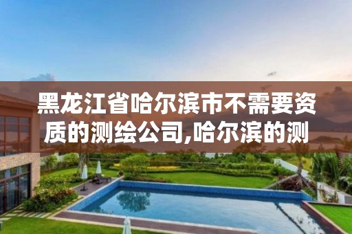 黑龍江省哈爾濱市不需要資質(zhì)的測(cè)繪公司,哈爾濱的測(cè)繪公司有哪些。