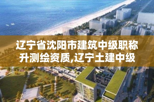 遼寧省沈陽市建筑中級(jí)職稱升測繪資質(zhì),遼寧土建中級(jí)職稱。