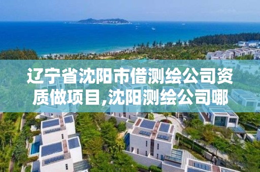 遼寧省沈陽市借測繪公司資質做項目,沈陽測繪公司哪家強哪家好。