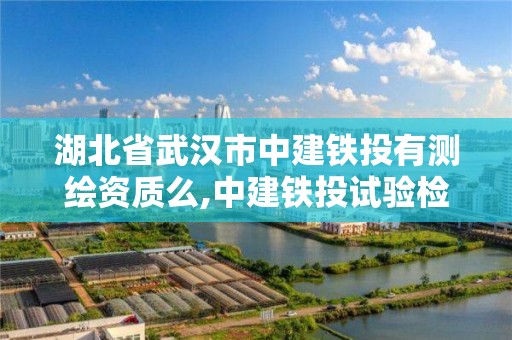 湖北省武漢市中建鐵投有測繪資質么,中建鐵投試驗檢測有限公司是國企嗎。