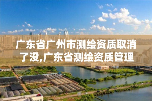 廣東省廣州市測繪資質取消了沒,廣東省測繪資質管理系統