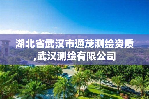 湖北省武漢市通茂測繪資質,武漢測繪有限公司