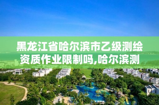 黑龍江省哈爾濱市乙級測繪資質作業限制嗎,哈爾濱測繪局幼兒園是民辦還是公辦