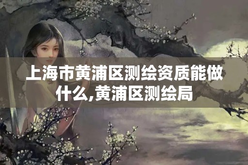 上海市黃浦區測繪資質能做什么,黃浦區測繪局