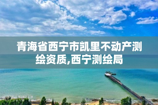 青海省西寧市凱里不動產測繪資質,西寧測繪局