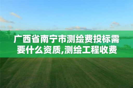 廣西省南寧市測繪費投標需要什么資質,測繪工程收費標準2002。