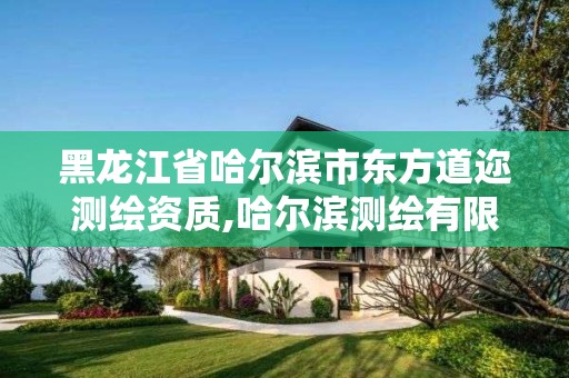 黑龍江省哈爾濱市東方道邇測繪資質(zhì),哈爾濱測繪有限公司