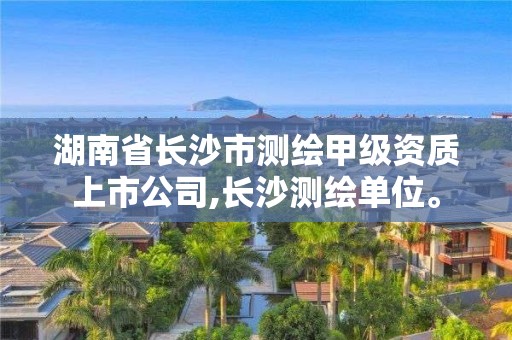 湖南省長沙市測繪甲級資質上市公司,長沙測繪單位。