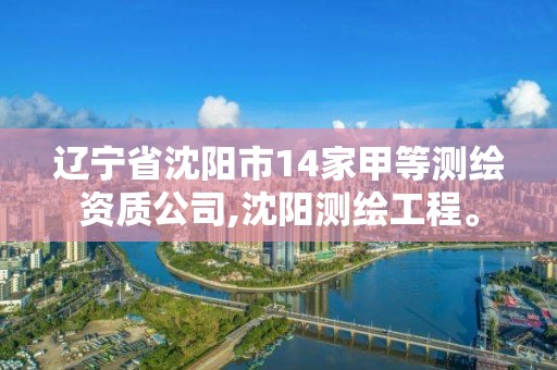 遼寧省沈陽市14家甲等測繪資質(zhì)公司,沈陽測繪工程。