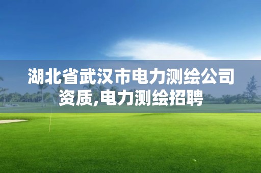 湖北省武漢市電力測繪公司資質,電力測繪招聘