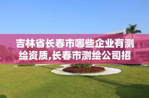 吉林省長春市哪些企業(yè)有測繪資質(zhì),長春市測繪公司招聘