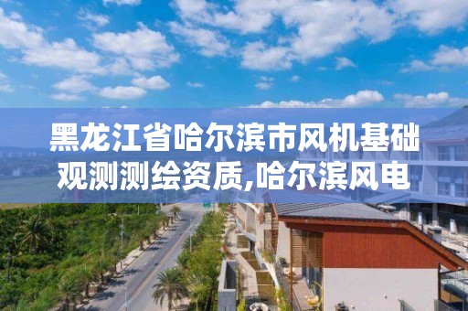 黑龍江省哈爾濱市風機基礎觀測測繪資質(zhì),哈爾濱風電公司