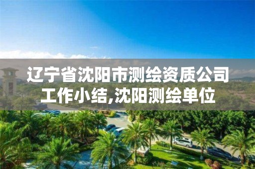 遼寧省沈陽市測繪資質公司工作小結,沈陽測繪單位