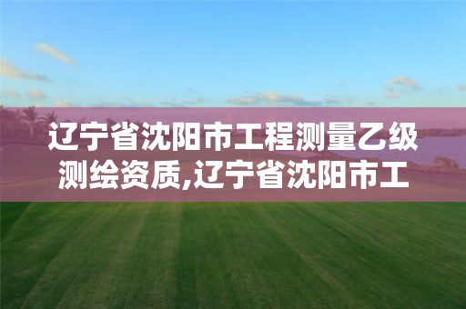 遼寧省沈陽市工程測量乙級測繪資質,遼寧省沈陽市工程測量乙級測繪資質有哪些