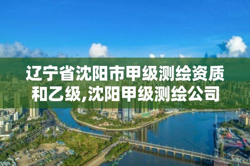 遼寧省沈陽市甲級測繪資質和乙級,沈陽甲級測繪公司