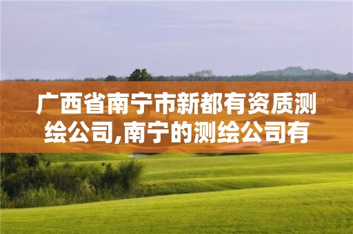 廣西省南寧市新都有資質測繪公司,南寧的測繪公司有哪些