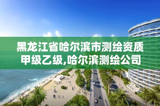 黑龍江省哈爾濱市測繪資質(zhì)甲級乙級,哈爾濱測繪公司哪家好