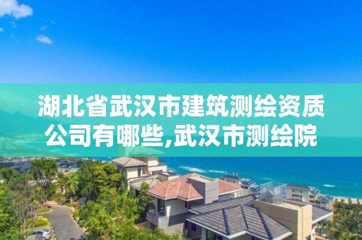 湖北省武漢市建筑測繪資質公司有哪些,武漢市測繪院怎么樣