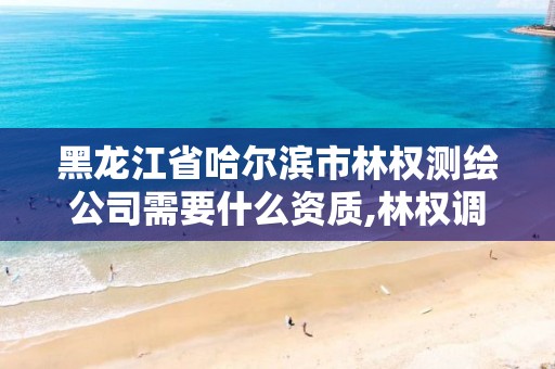 黑龍江省哈爾濱市林權測繪公司需要什么資質,林權調查 測繪資質。