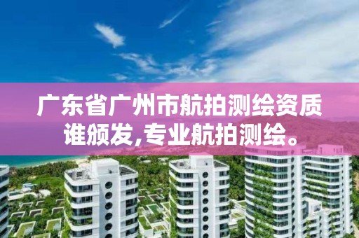 廣東省廣州市航拍測繪資質誰頒發,專業航拍測繪。