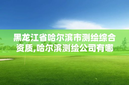 黑龍江省哈爾濱市測繪綜合資質,哈爾濱測繪公司有哪些