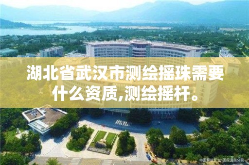 湖北省武漢市測繪搖珠需要什么資質,測繪搖桿。