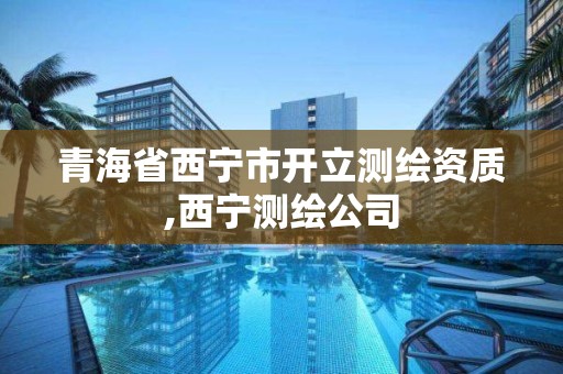 青海省西寧市開立測繪資質,西寧測繪公司