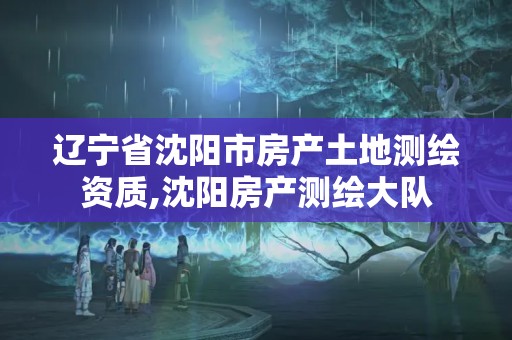 遼寧省沈陽市房產土地測繪資質,沈陽房產測繪大隊