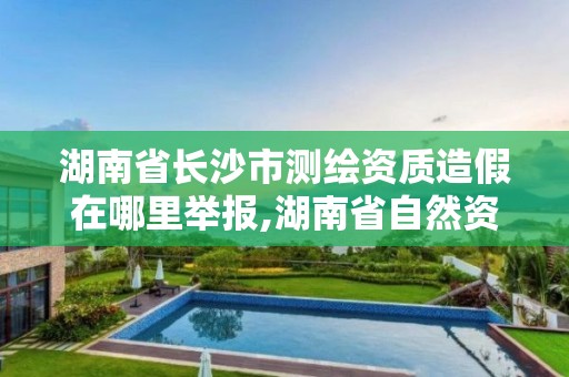 湖南省長沙市測繪資質造假在哪里舉報,湖南省自然資源廳關于延長測繪資質證書有效期的公告。