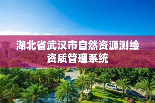 湖北省武漢市自然資源測繪資質管理系統