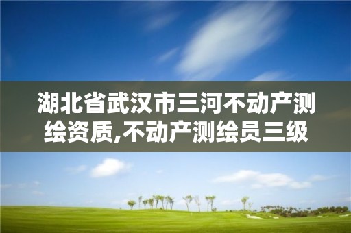 湖北省武漢市三河不動產(chǎn)測繪資質(zhì),不動產(chǎn)測繪員三級含金量高嗎?。