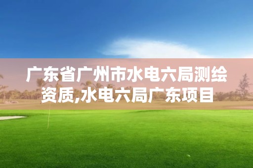 廣東省廣州市水電六局測繪資質,水電六局廣東項目