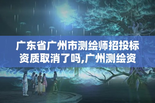 廣東省廣州市測繪師招投標資質取消了嗎,廣州測繪資質代辦。