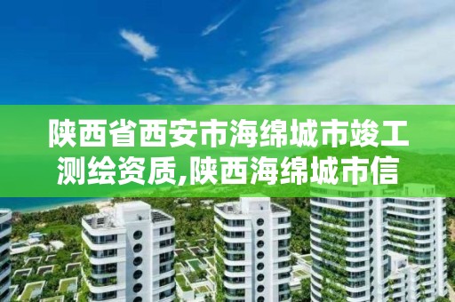 陜西省西安市海綿城市竣工測繪資質,陜西海綿城市信息科技有限公司