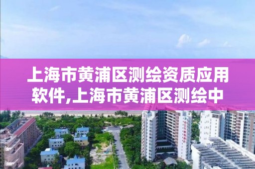 上海市黃浦區測繪資質應用軟件,上海市黃浦區測繪中心