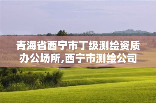 青海省西寧市丁級(jí)測繪資質(zhì)辦公場所,西寧市測繪公司