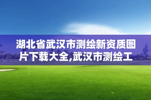 湖北省武漢市測繪新資質圖片下載大全,武漢市測繪工程技術規定。