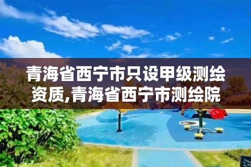 青海省西寧市只設甲級測繪資質,青海省西寧市測繪院