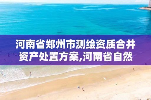 河南省鄭州市測繪資質合并資產處置方案,河南省自然資源廳關于延長測繪資質證書有效期的公告