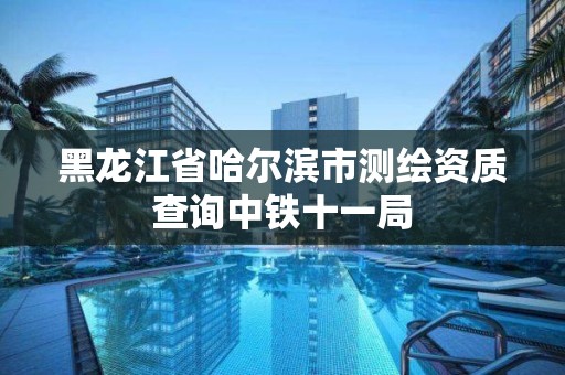 黑龍江省哈爾濱市測繪資質查詢中鐵十一局