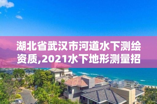 湖北省武漢市河道水下測繪資質,2021水下地形測量招標