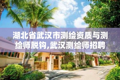 湖北省武漢市測繪資質與測繪師脫鉤,武漢測繪師招聘