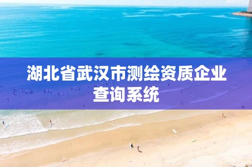 湖北省武漢市測繪資質企業查詢系統