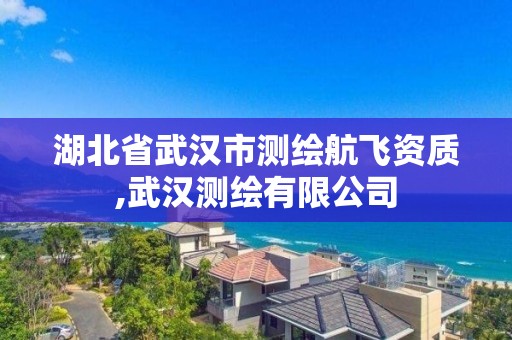 湖北省武漢市測繪航飛資質,武漢測繪有限公司