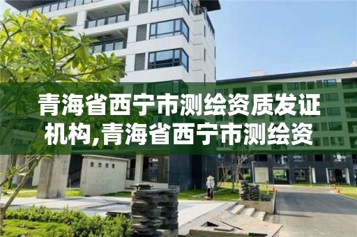 青海省西寧市測繪資質發證機構,青海省西寧市測繪資質發證機構有哪些