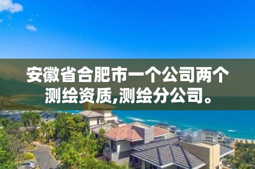 安徽省合肥市一個公司兩個測繪資質,測繪分公司。